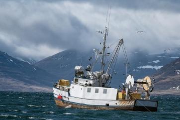 В Северном бассейне из-за карантина может остановиться добыча рыбы